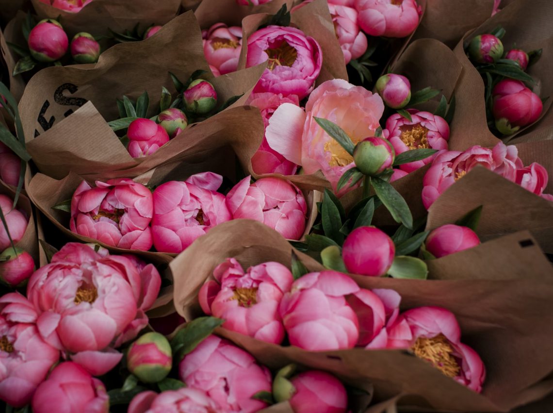 What are the different ways to care for peonies and get them bouquet ready?